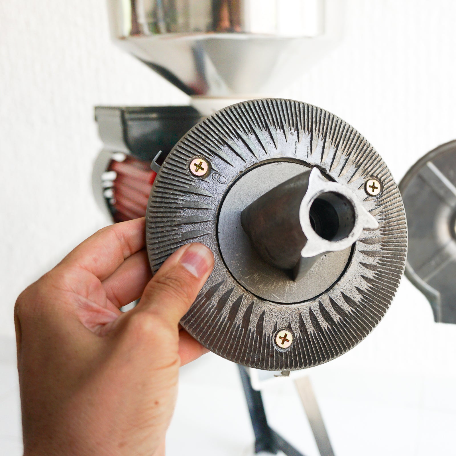 Molino Eléctrico 2 en 1 para Alimentos Secos y Húmedos (SVM-160)