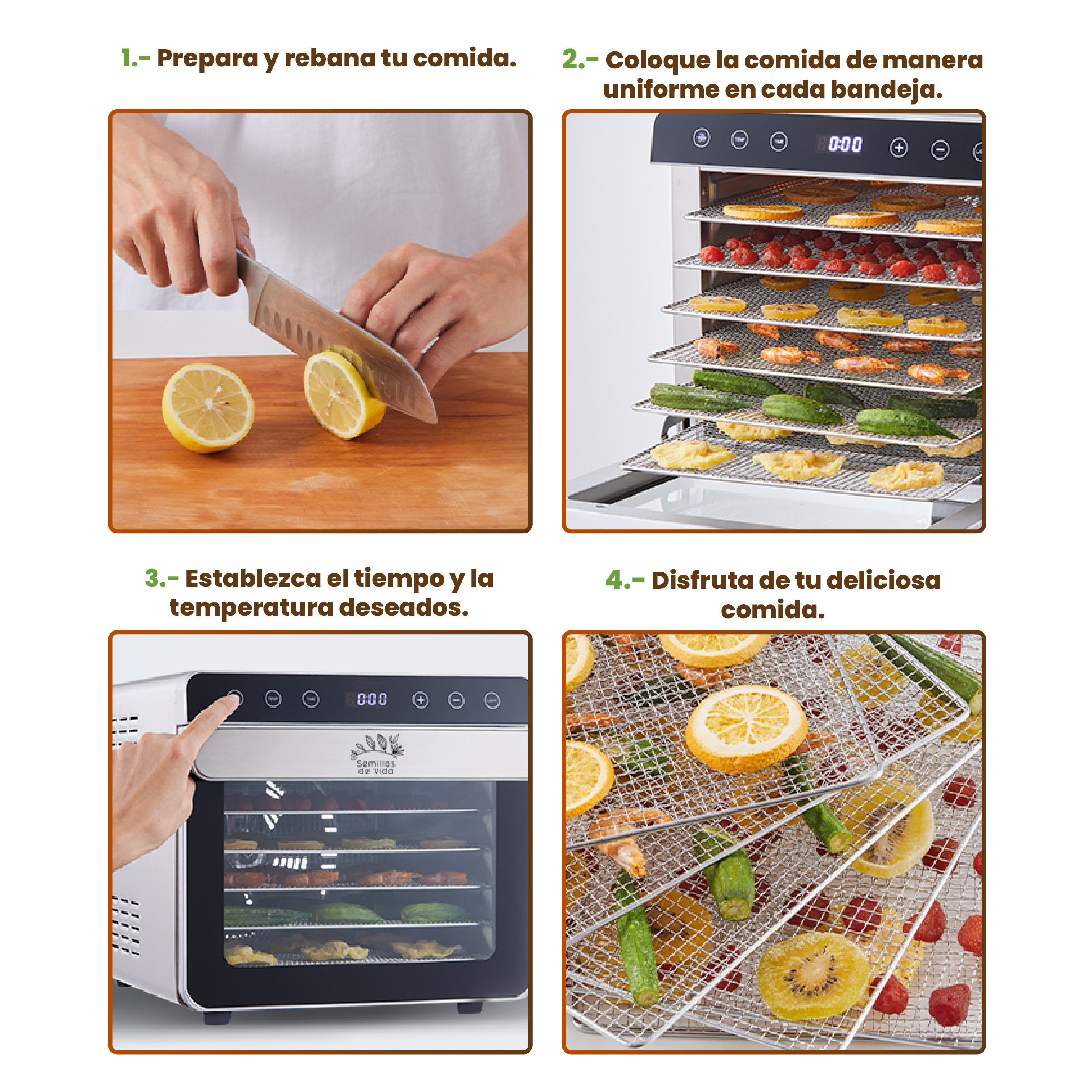 Deshidratador de Alimentos Eléctrico 6 Bandejas de Acero Inoxidable con Control de Temperatura