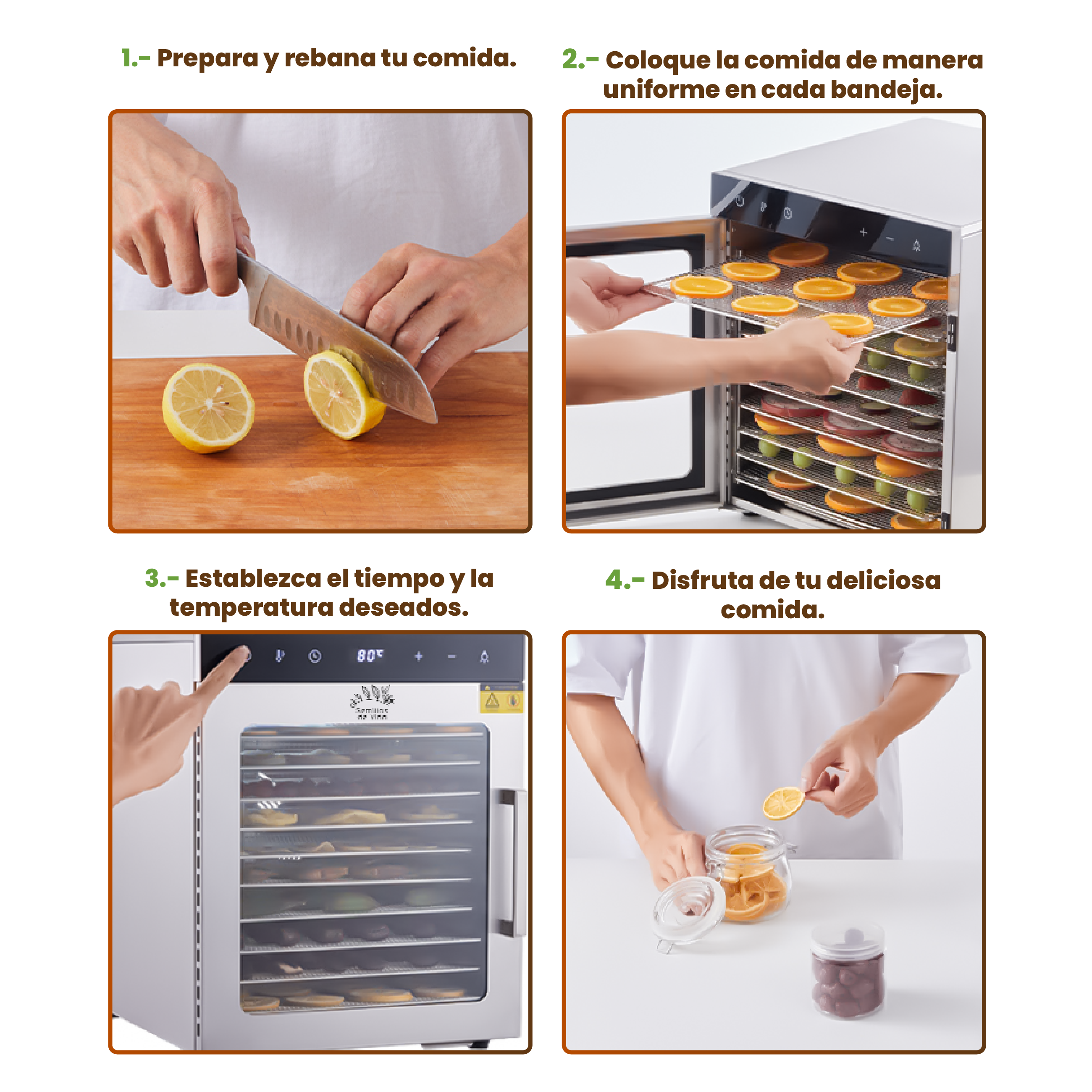 Deshidratador de Alimentos Eléctrico 10 Bandejas de Acero Inoxidable con Control de Temperatura