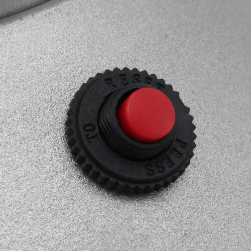 Molino Pulverizador Eléctrico de Granos, Semillas y Especias 100g